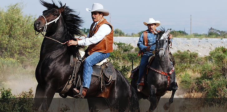 Hispanic ranchers cite discrimination in grazing suit