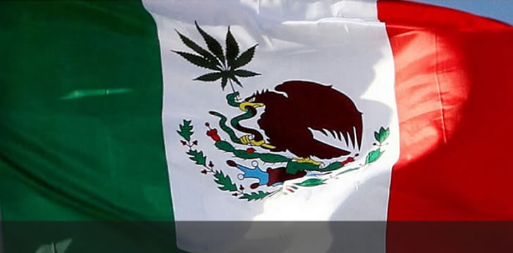 Mexican Supreme Court Rules Prohibition of Cannabis Unconstitutional