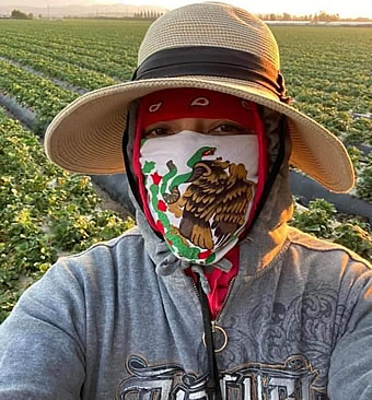 Mexican immigrant farmworkers are dying at highest rate of COVID-19 victims