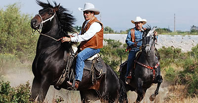 New Mexico Hispanic Ranchers Cite Discrimination In Lawsuit